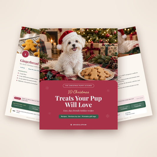 10 Christmas Treats Your Pup Will Love 🎄