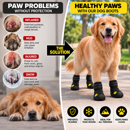 Protective All-Terrain Dog Boots